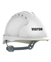 Pre Printed Safety Helmets