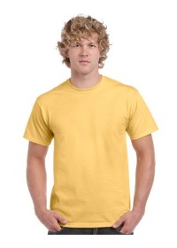 Coloured Gildan 5000 Heavy Cotton T Shirt